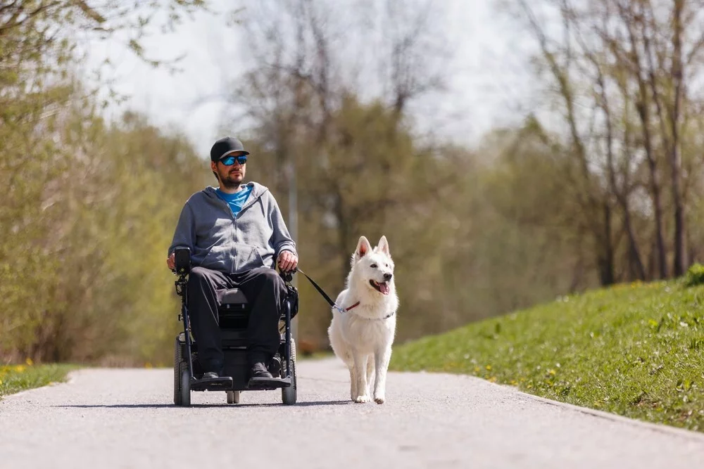 Späť v hre: Elektrické vozidlá vám navrátia slobodu pohybu