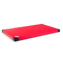 Protišmyková gymnastická žinenka inSPORTline Anskida T60 200x120x10 cm - červená