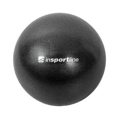 Lopta na posilňovanie inSPORTline Aerobic Ball 25 cm