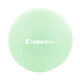 Lopta na posilňovanie inSPORTline Aerobic Ball 25 cm