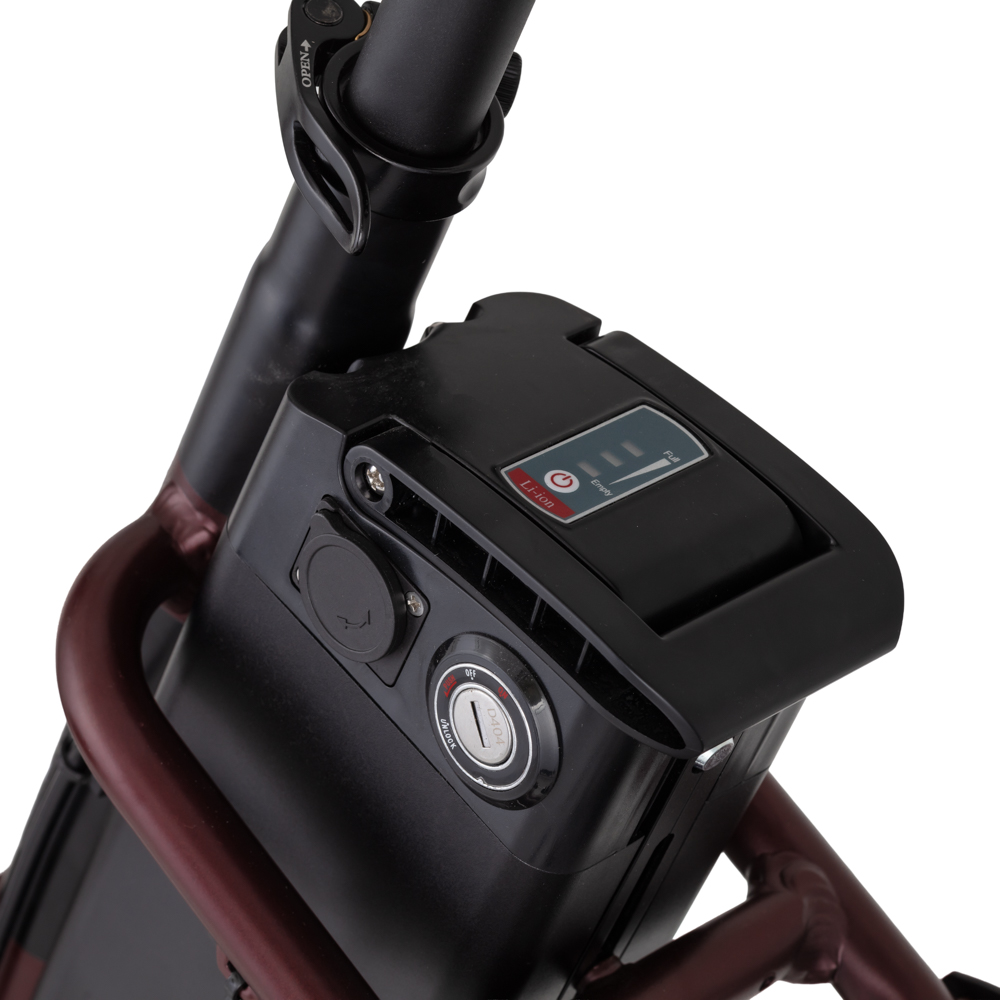 inSPORTline ISL Felior 468 Wh 20" - model 2026 Velour Red - 17" (156-183 cm) · záber 7