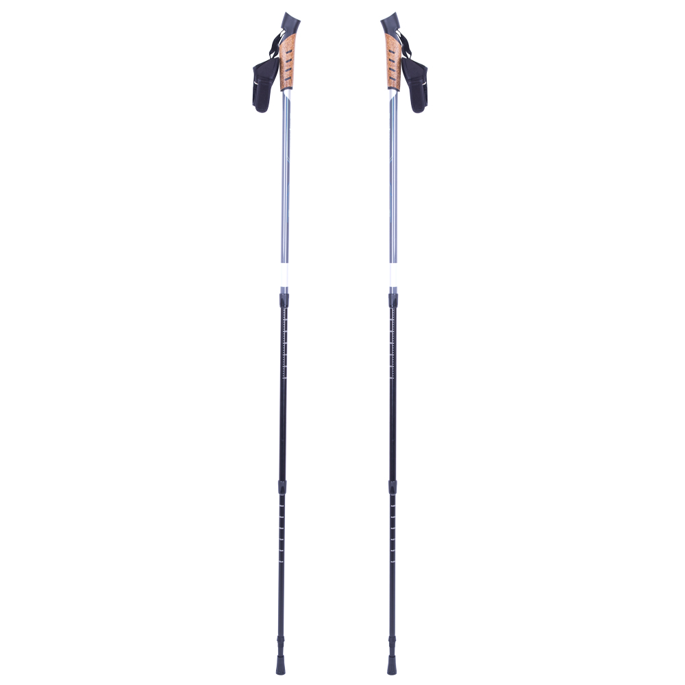 Nordic walking palice inSPORTline Vilarica