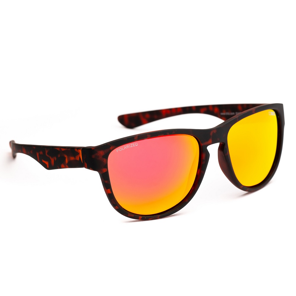 Bliz Polarized C Everly