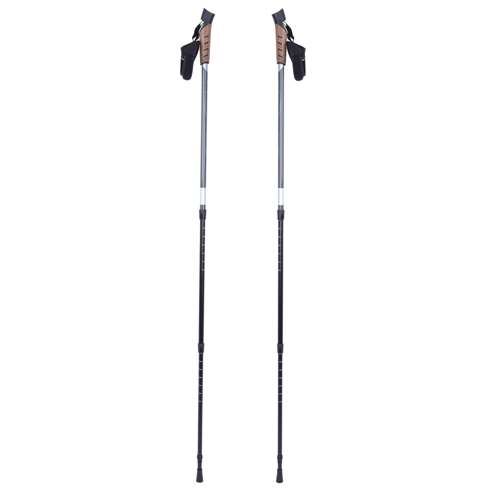 Nordic walking palice inSPORTline Vilarica