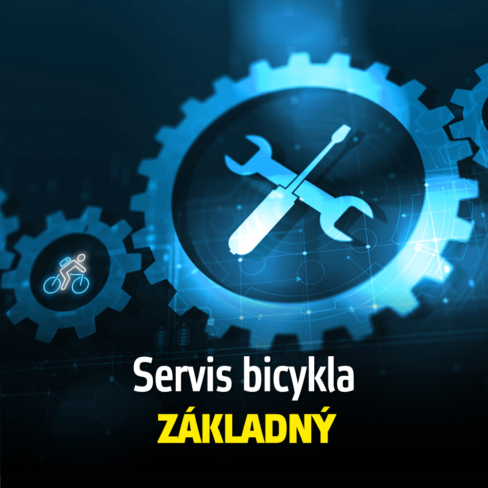 inSPORTline servis Servis bicykla - základný