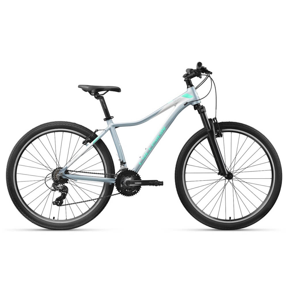 Cyclision Corpha 6 MK-II 29" - model 2026 Minty Gray - M (17", 160-175 cm)
