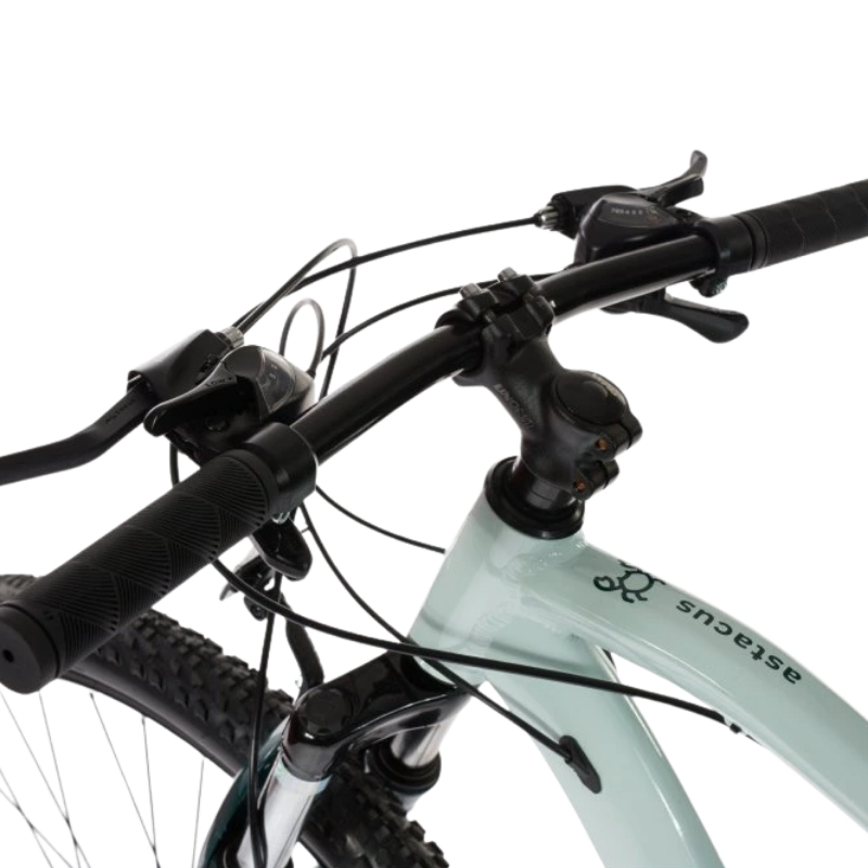 Olpran ASTACUS Man 29" šedá/petrolejová - 21" (180-190 cm) · záber 9