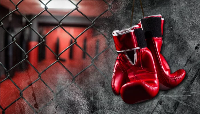 Boxerské a MMA rukavice