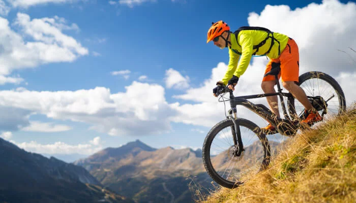 Elektrobicykle Levit