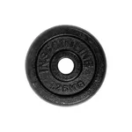Liatinový kotúč inSPORTline Castblack 1,25 kg 30 mm - 2. akosť