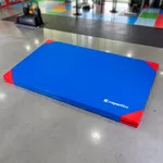 Gymnastická žinenka inSPORTline Munakor T60 200x120x10 cm