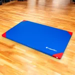 Gymnastická žinenka inSPORTline Gabyk T90 200x120x6 cm