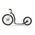 Kolobežka Yedoo Trexx Disc 26/20"