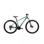 Horský bicykel Kross Hexagon 2.0 29" Gen 008 - zelená / strieborná / lesk
