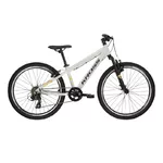 Juniorský bicykel Kross Dust JR 1.0 24" Gen 006 - šedá/čierna/lesk