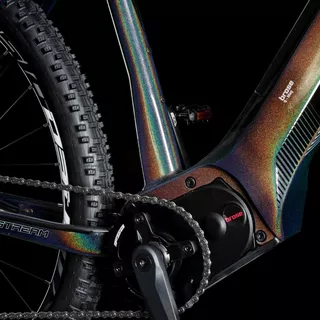 Horský elektrobicykel 4EVER Exstream Team 29" - Chameleon/Hologram