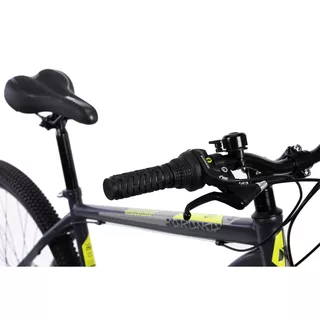 Horský bicykel DHS 2905 29" 7.0 - blue
