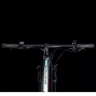 Horský elektrobicykel 4EVER Exstream Team 29" - Chameleon/Hologram