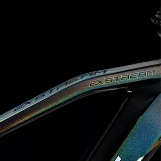 Horský elektrobicykel 4EVER Exstream Team 29" - Chameleon/Hologram