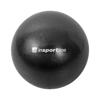 Lopta na posilňovanie inSPORTline Aerobic Ball 25 cm