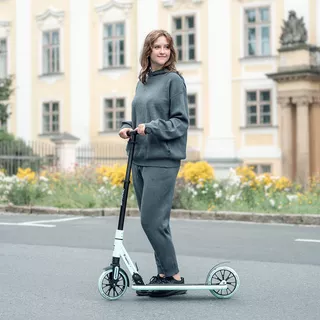 Skladacia kolobežka inSPORTline Wayomint