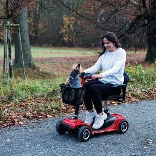 Elektrický štvorkolesový vozík inSPORTline Omis (W3431)
