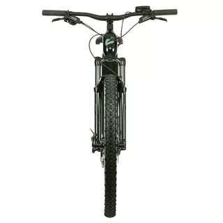 Horský elektrobicykel Crussis e-Fionna 10.9-M 29"