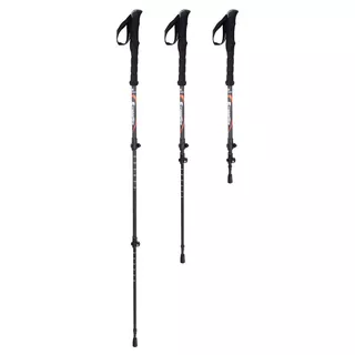 Trekingové palice inSPORTline Montgato 3-dielne