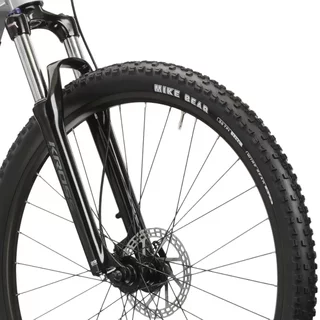 Horský elektrobicykel Kross Hexagon Boost 3.0 29" Gen 004 - strieborná / čierna / lesk