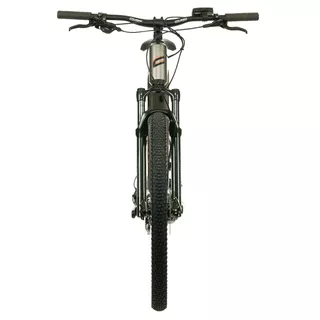 Horský elektrobicykel Crussis e-Largo 8.9-L 29"