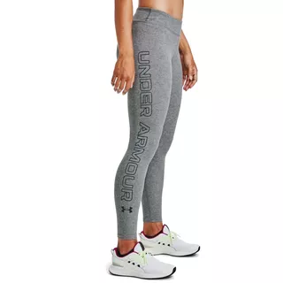 Dámske legíny Under Armour Favorite WM Leggings - Carbon Heather