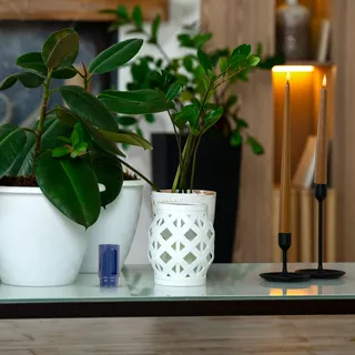 Vonná náplň do masážneho kresla inSPORTline Cortela