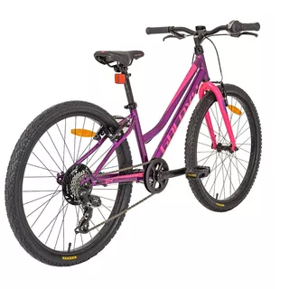 Juniorský dievčenský bicykel Galaxy Ruby 24" 9.0 - strieborná