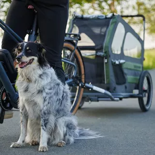 Vozík pre psa TaXXi M tmavo šedá/tmavo zelená