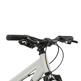 Juniorský bicykel Kross Dust JR 1.0 24" Gen 006 - šedá/čierna/lesk