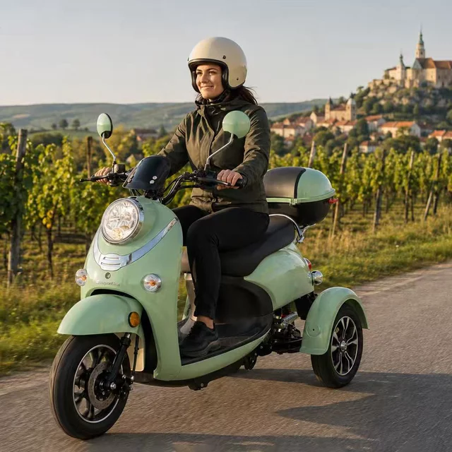 Elektrický trojkolesový vozík inSPORTline Tarra • 25km/h • až 45km dojazd