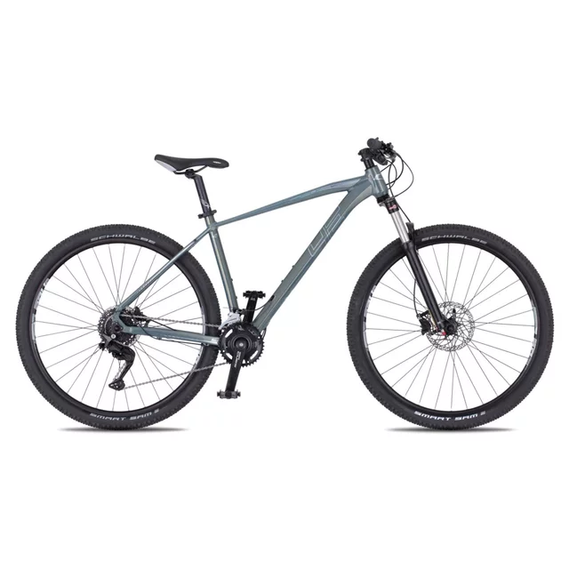Horský bicykel 4EVER FRONTBEE 29'' - model 2025 - foggy/silver - foggy/silver