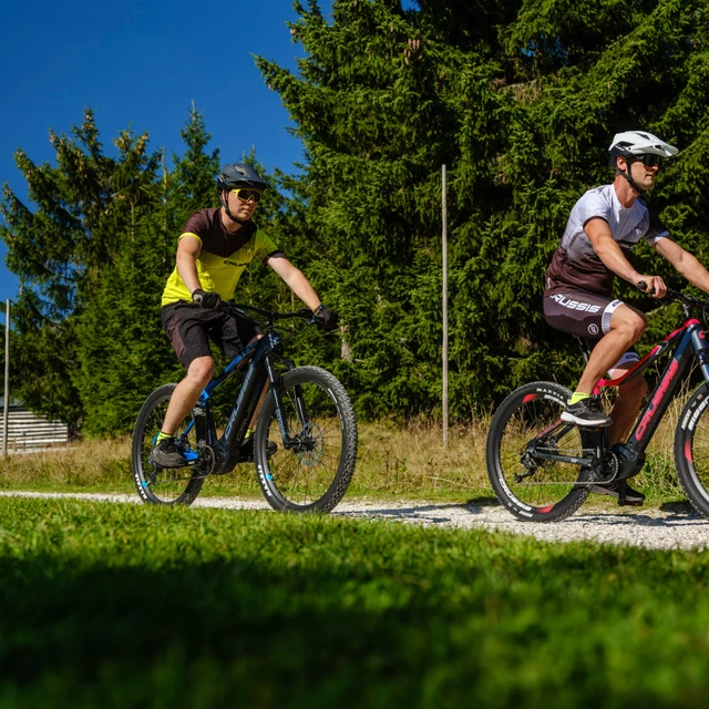 Horský elektrobicykel Crussis e-Atland 10.9-M 27,5"
