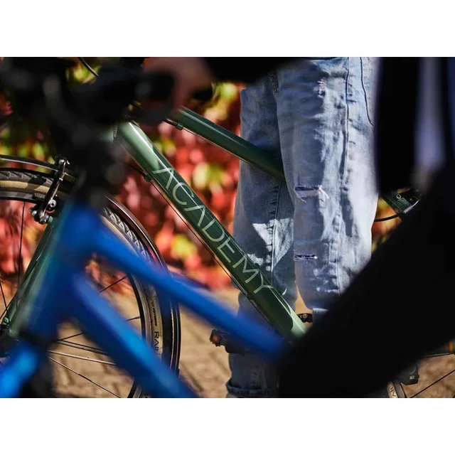 Detský bicykel Academy Grade 4 20"