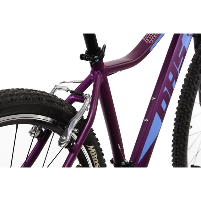 Dámsky horský bicykel DHS Terrana 2922 29" - model 2021 - Violet