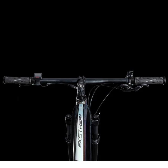 Horský elektrobicykel 4EVER Exstream Team 29" - Chameleon/Hologram
