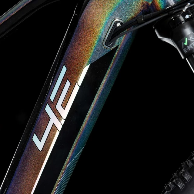 Horský elektrobicykel 4EVER Exstream Team 29" - Chameleon/Hologram