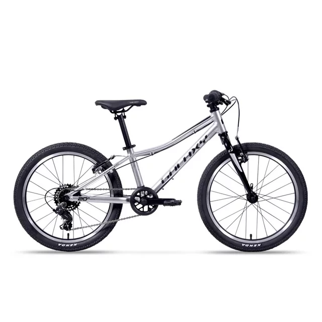 Detský bicykel Galaxy Cetis Lite 20" 9.0 - zelená - strieborná