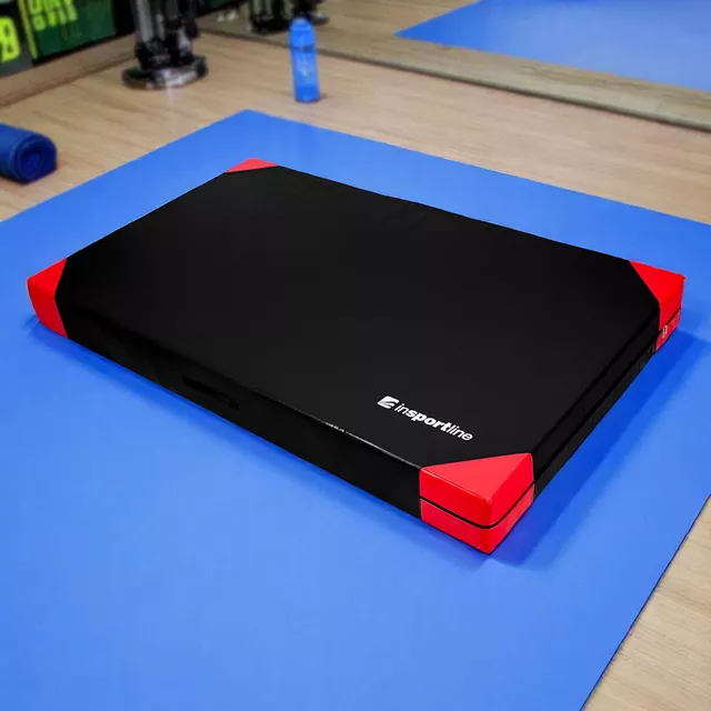 Gymnastická žinenka inSPORTline Agskal T25 200x120x20 cm - modrá - čierna