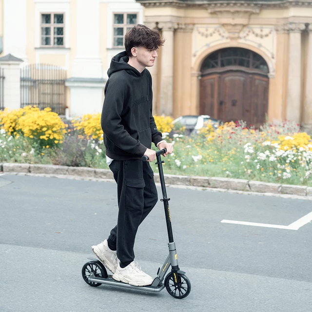 Skladacia kolobežka inSPORTline Wayotan