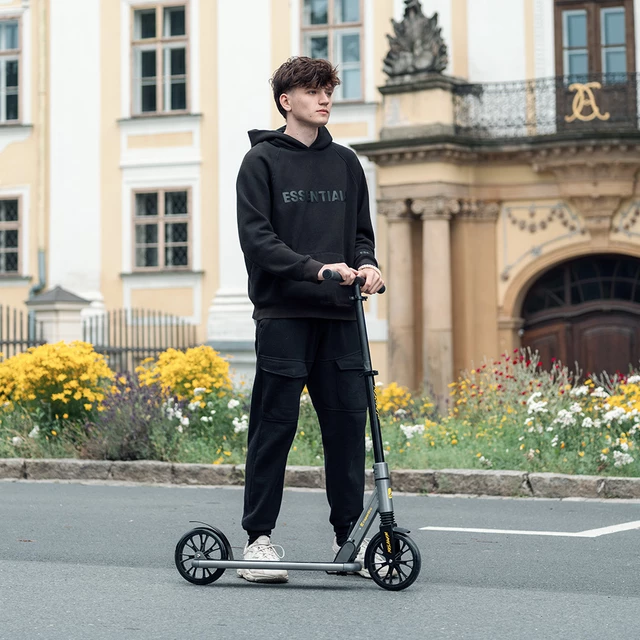 Skladacia kolobežka inSPORTline Wayotan