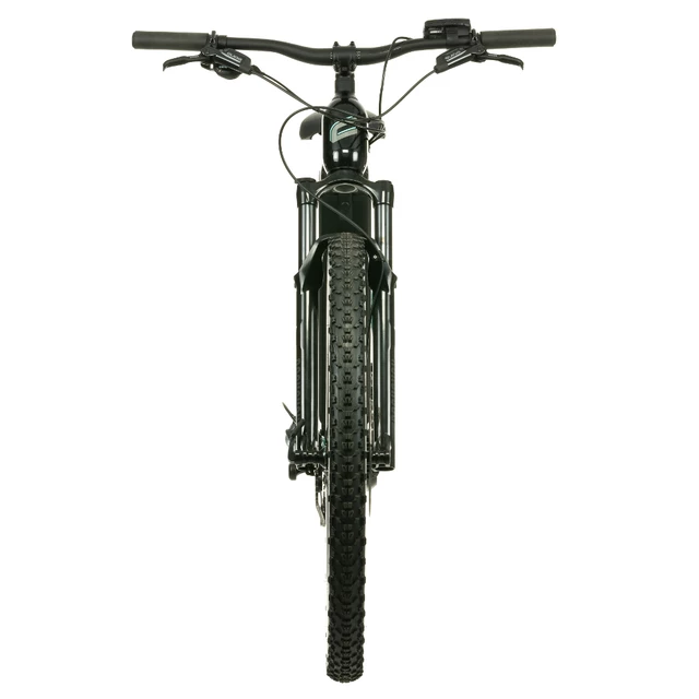 Horský elektrobicykel Crussis e-Fionna 10.9-M 29"