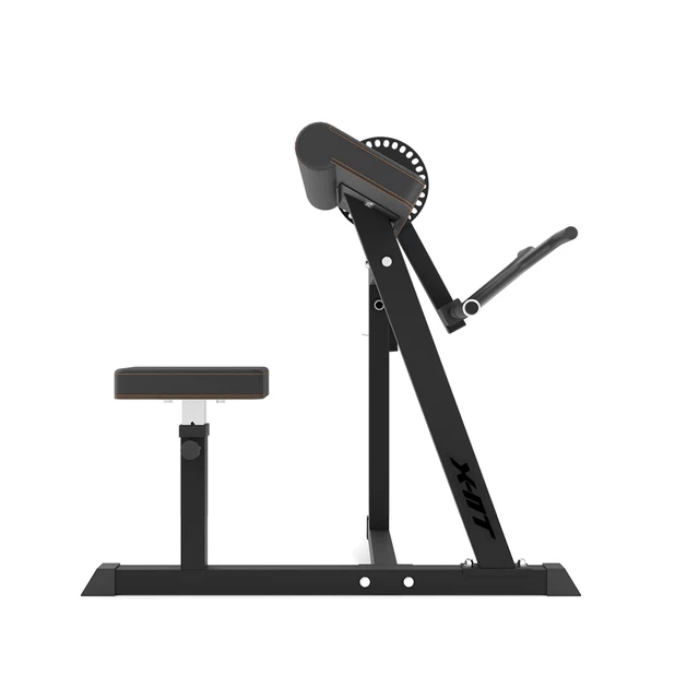 Posilňovacia lavica inSPORTline X-NT BT20 Biceps a Triceps Curl