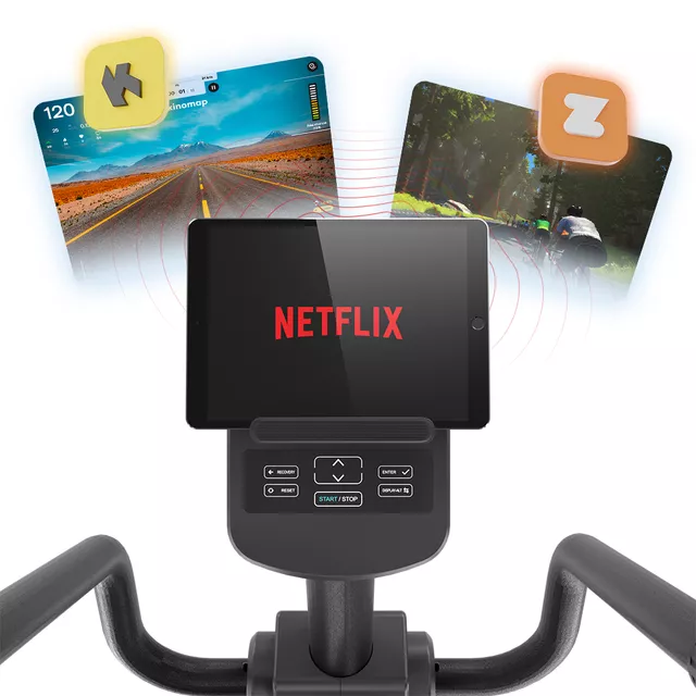 Recumbent inSPORTline ZenSeat 100