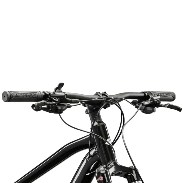 Horský bicykel Kross Hexagon 5.0 29" Gen 008 - strieborná / čierna / lesk